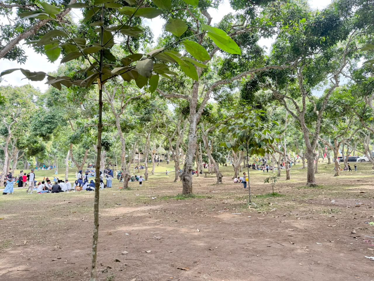 Galeri